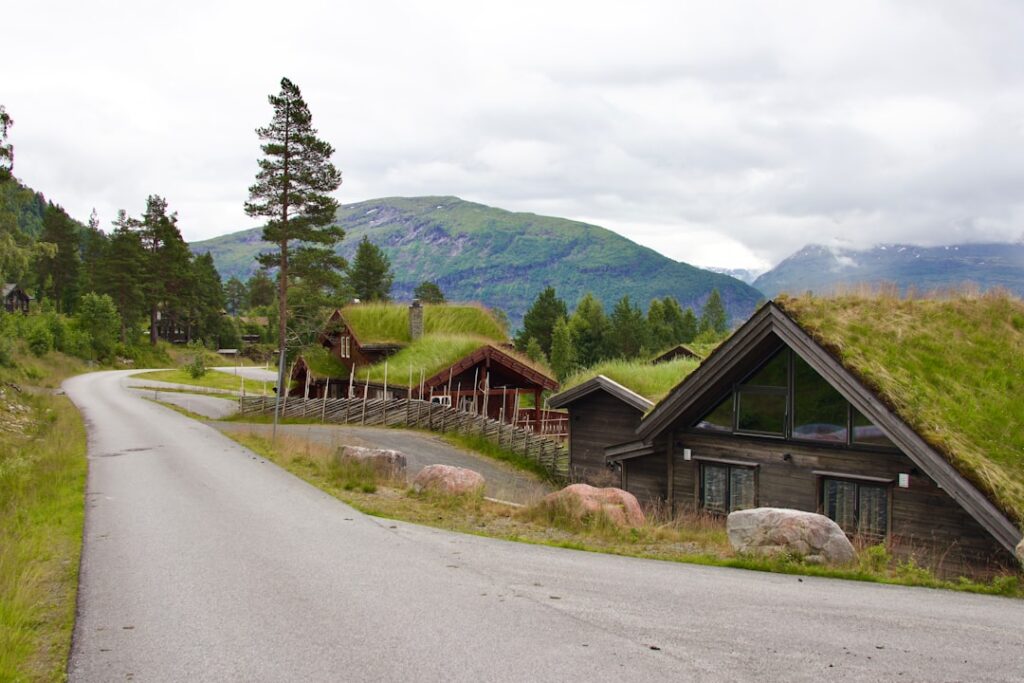 Photo Survival Guide Norway