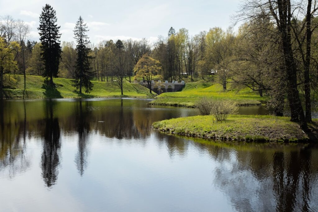 Photo Norwegian Spring Courses