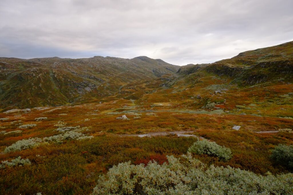 Photo Norwegian Plateau