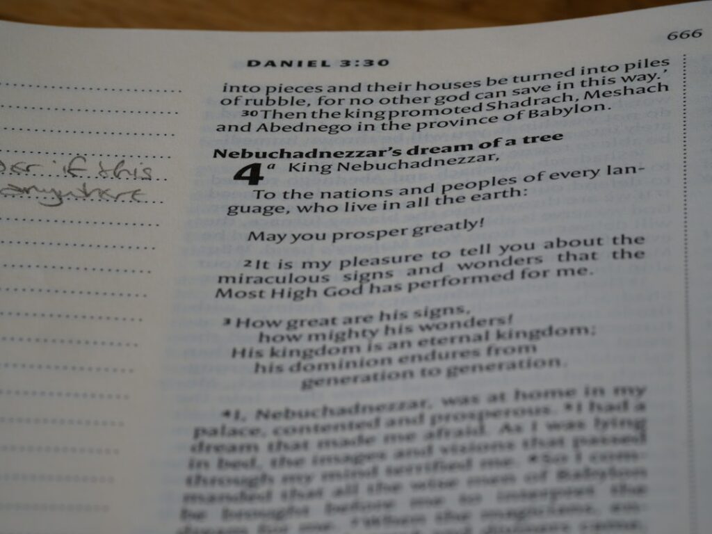 Photo IT Professionals Learning Norwegian